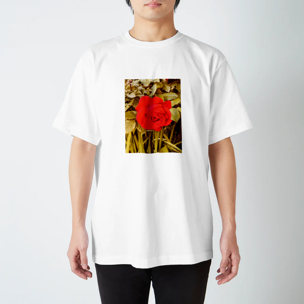 Strawberryのバラの花Tシャツ スタンダードTシャツ