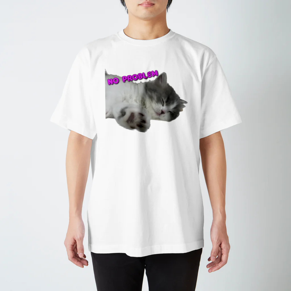 おおよそ11kgの幸せの猫は寝ててもNO PROBLEM スタンダードTシャツ