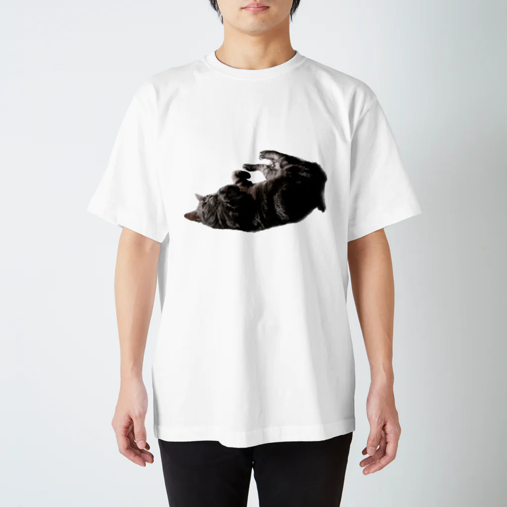 アメショーのひめちゃんのアメショーのひめちゃん⑥ Regular Fit T-Shirt