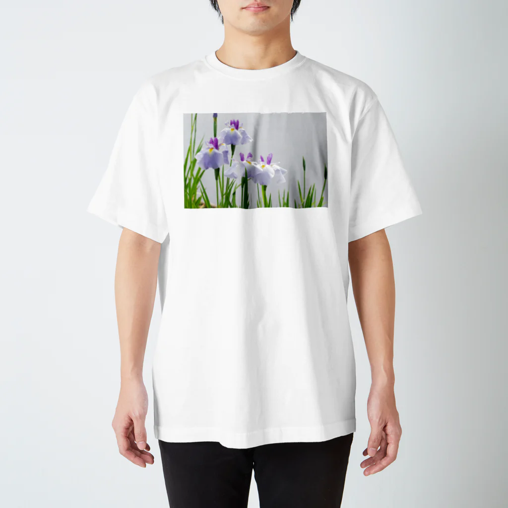 akane_art（茜音工房）の癒しの風景（花菖蒲） スタンダードTシャツ