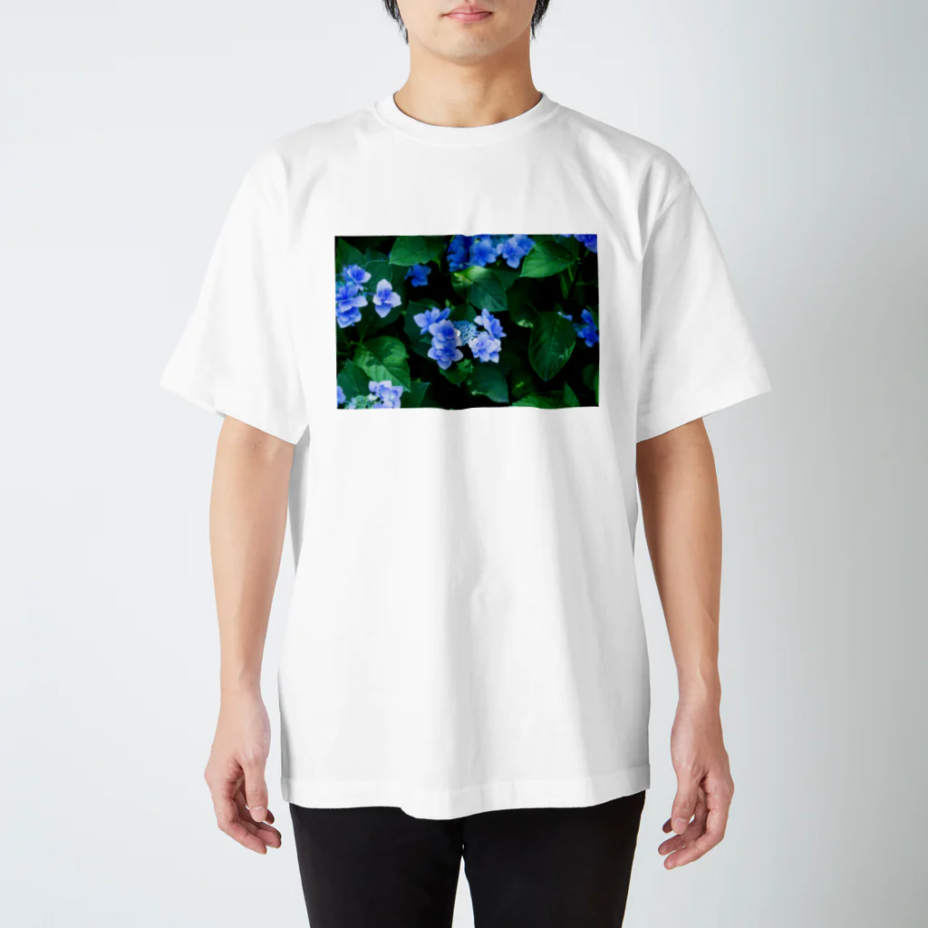 akane_art（茜音工房）の癒しの風景（アジサイ） Regular Fit T-Shirt