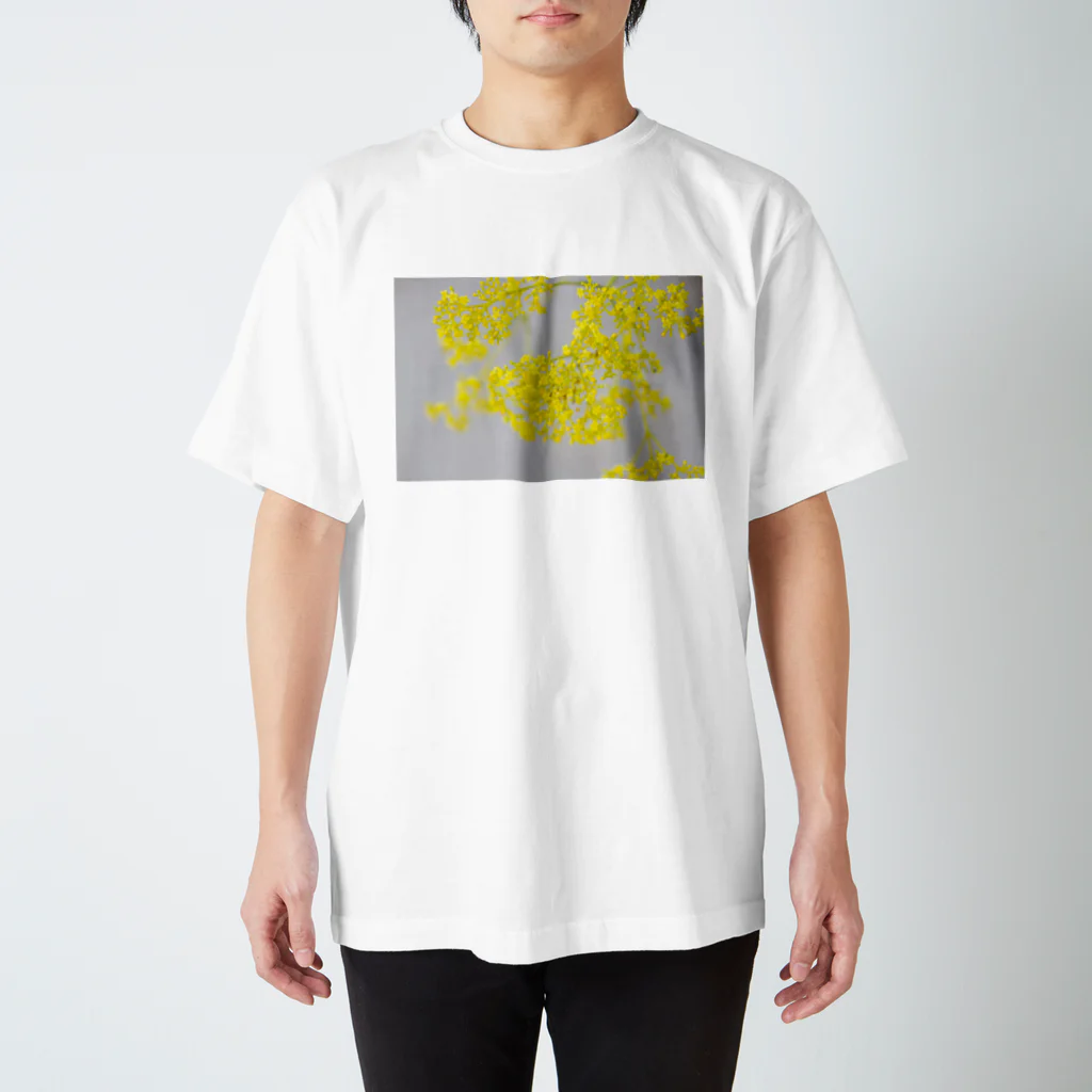 akane_art（茜音工房）の癒しの風景（オミナエシ） スタンダードTシャツ