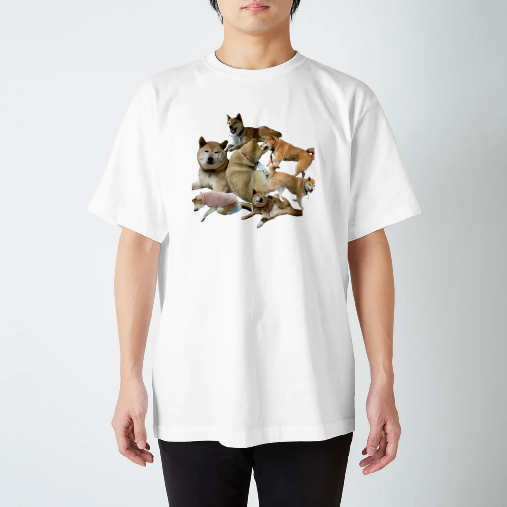 柴犬と柴犬のまんまる柴犬 Regular Fit T-Shirt