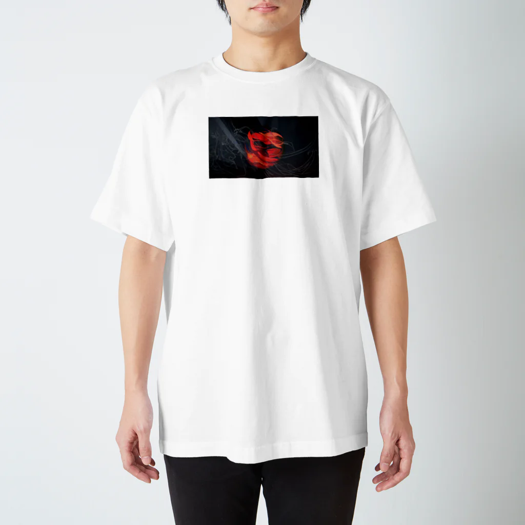 Mizoreの化けの花火 Regular Fit T-Shirt
