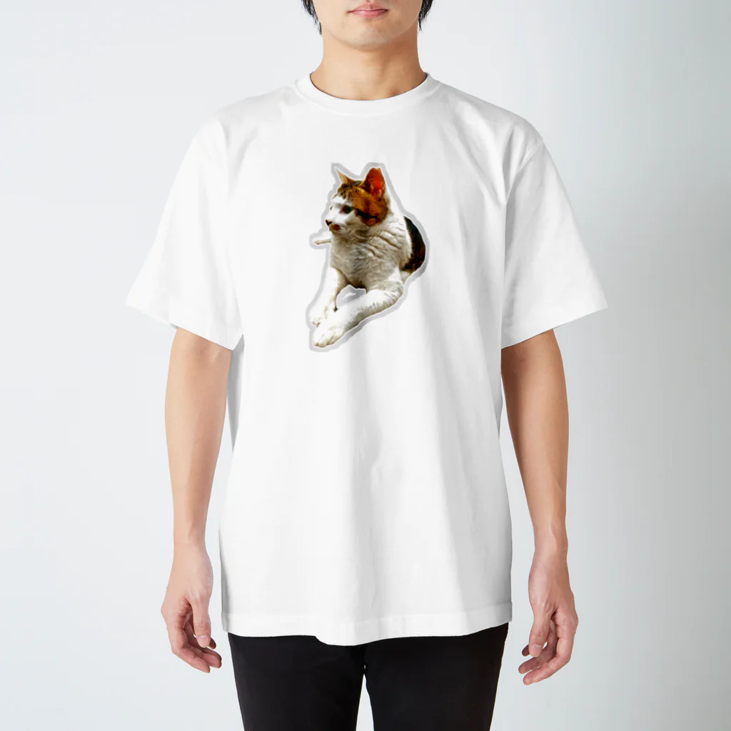 nekousagi*∩..∩の【ロゴ無】②夏のトラミ兄ちゃん Regular Fit T-Shirt