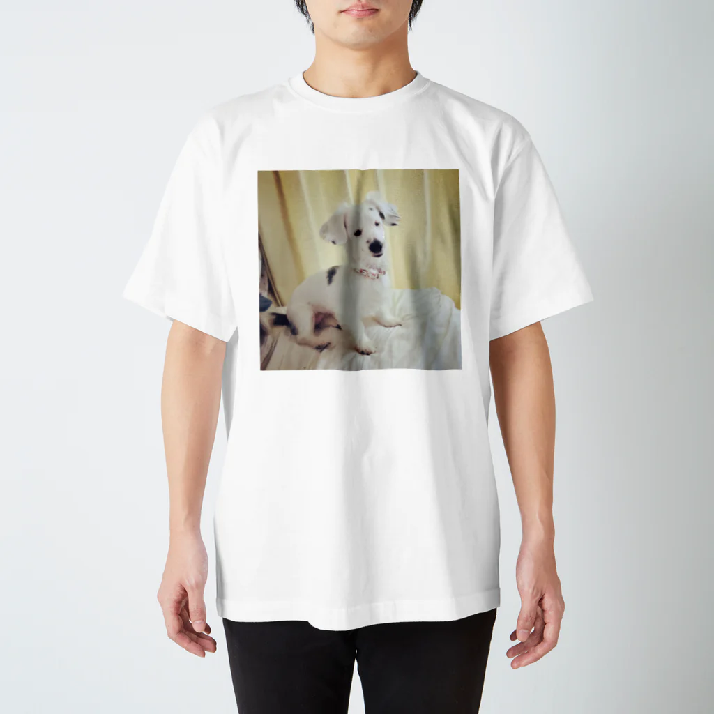 アトリエいぬSTOREのあどけない犬 Regular Fit T-Shirt