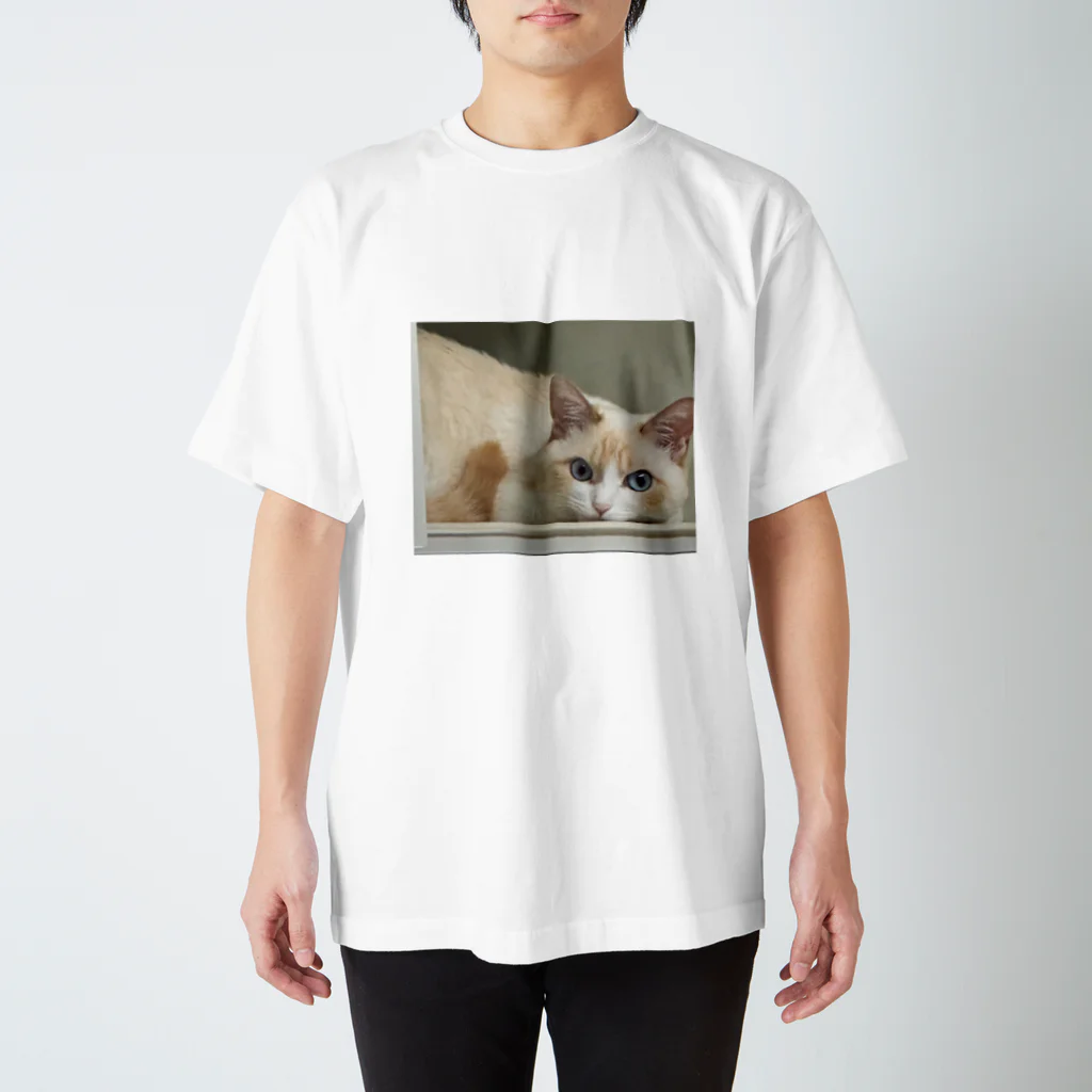 SUGARのsleep on a shelf スタンダードTシャツ