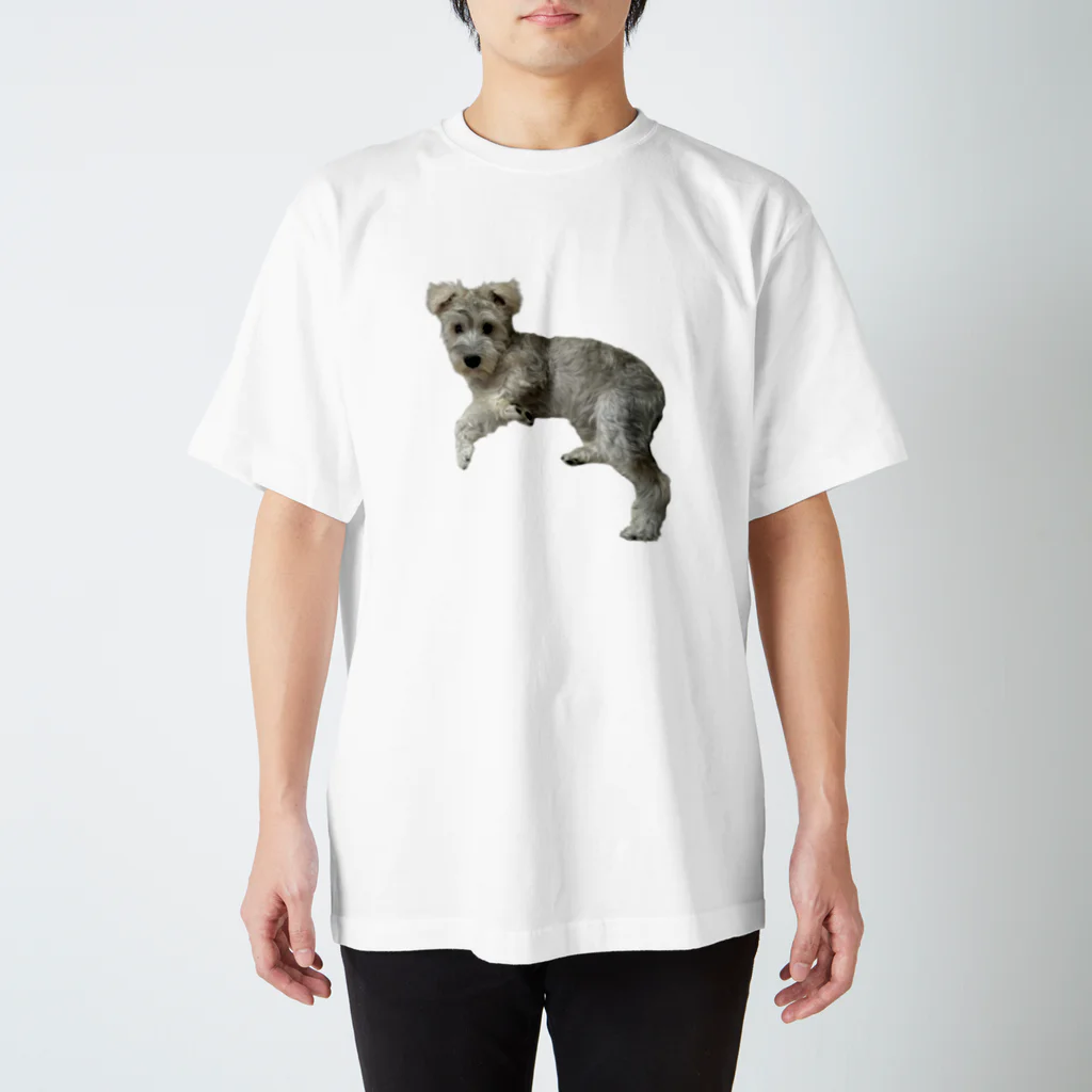 totemogoriraの服従わ〜くん Regular Fit T-Shirt