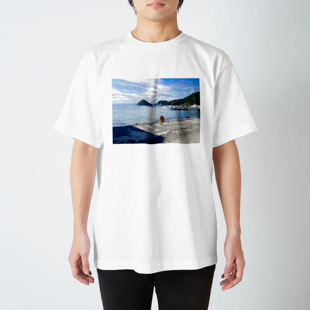 化けわらじ工房の海と化けわらじ Regular Fit T-Shirt