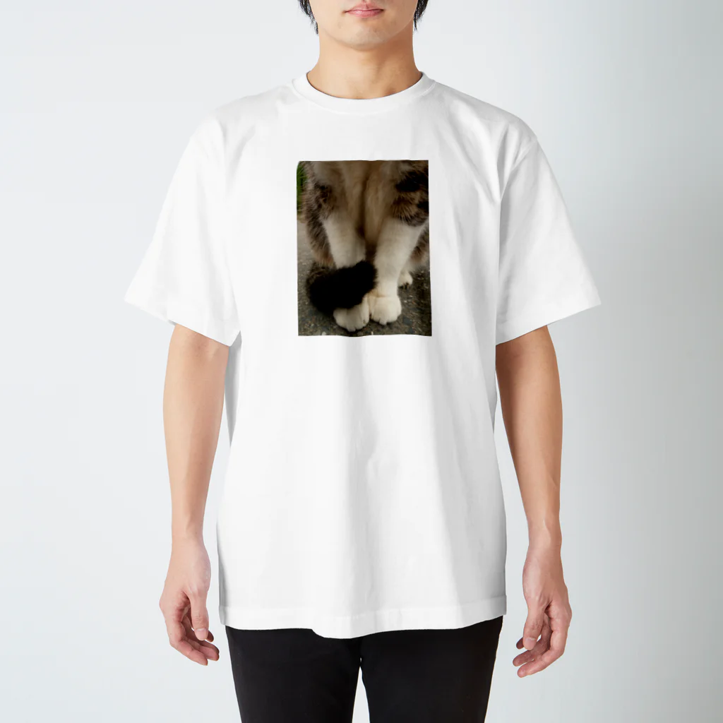 僕の撮る猫は可愛くないのNora スタンダードTシャツ