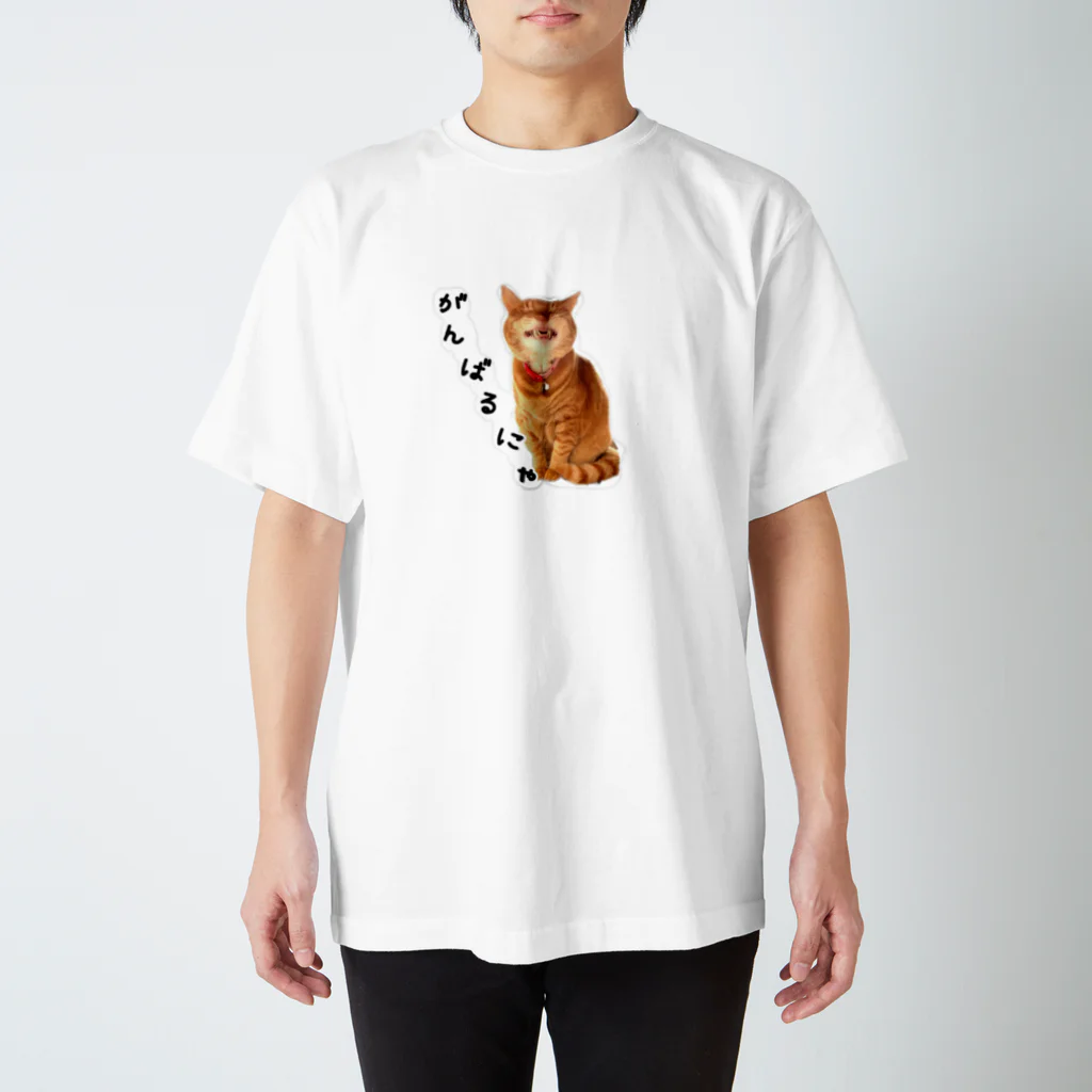 ぬこヌッコロ(猫谷櫂人)のがんばるにゃ応援ばあちゃん スタンダードTシャツ