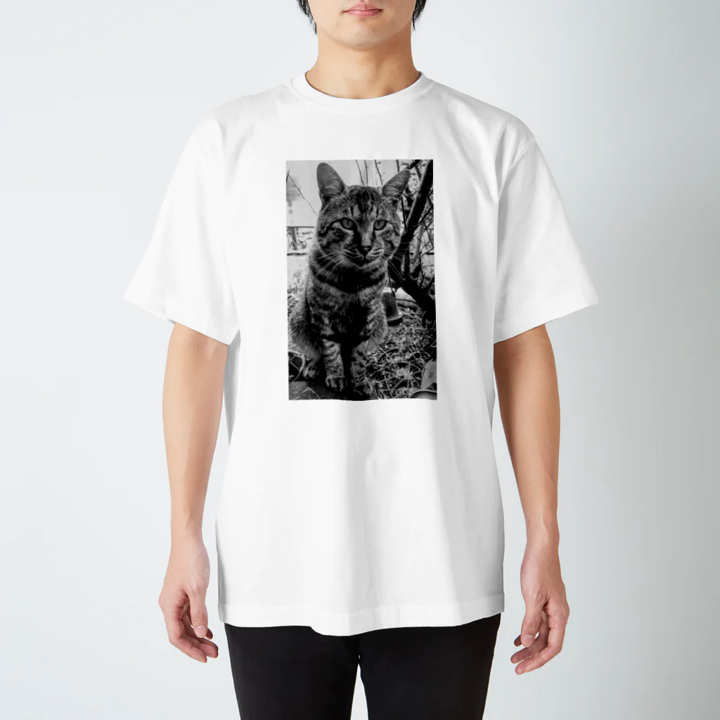 Bohcaの野生的な猫 Regular Fit T-Shirt