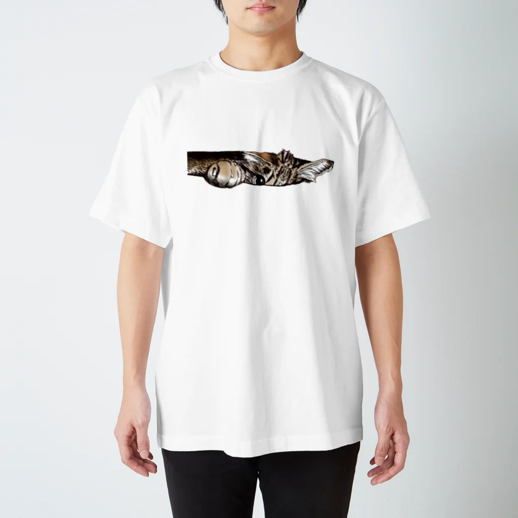 Salmon_29のねこチラリ スタンダードTシャツ