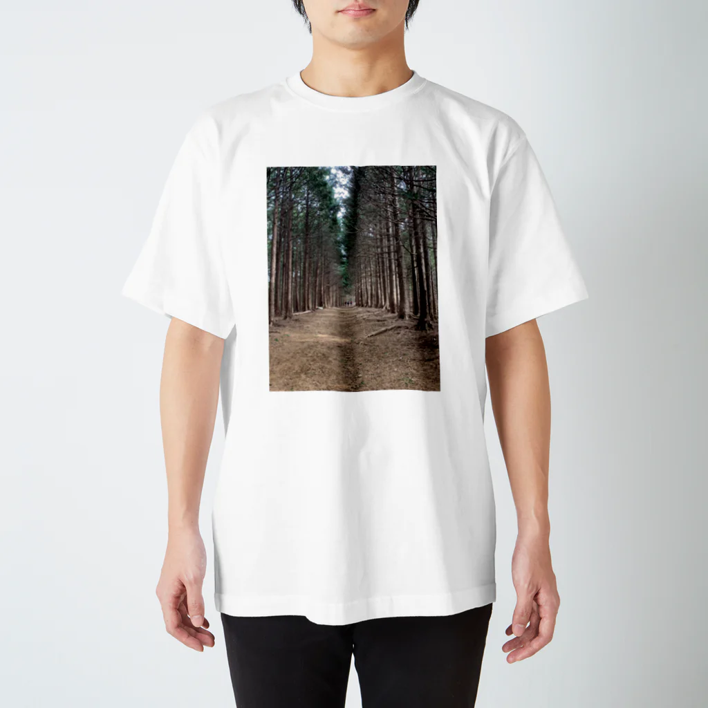 思い出がいっぱいの登山の思い出 Regular Fit T-Shirt