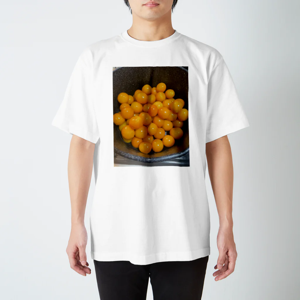 らぴろぱのらぴろぱ　金柑の甘煮 Regular Fit T-Shirt