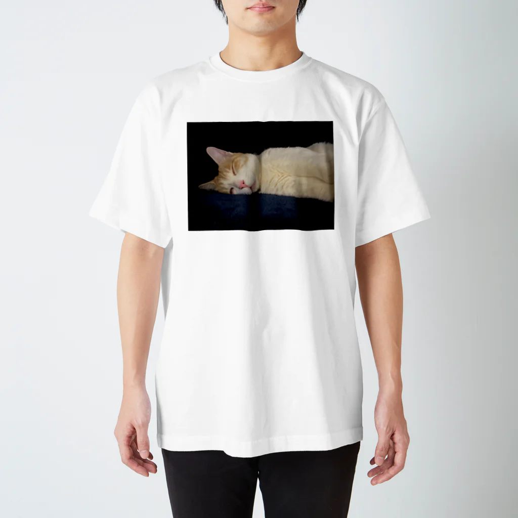 みつりんの夢の境地 Regular Fit T-Shirt