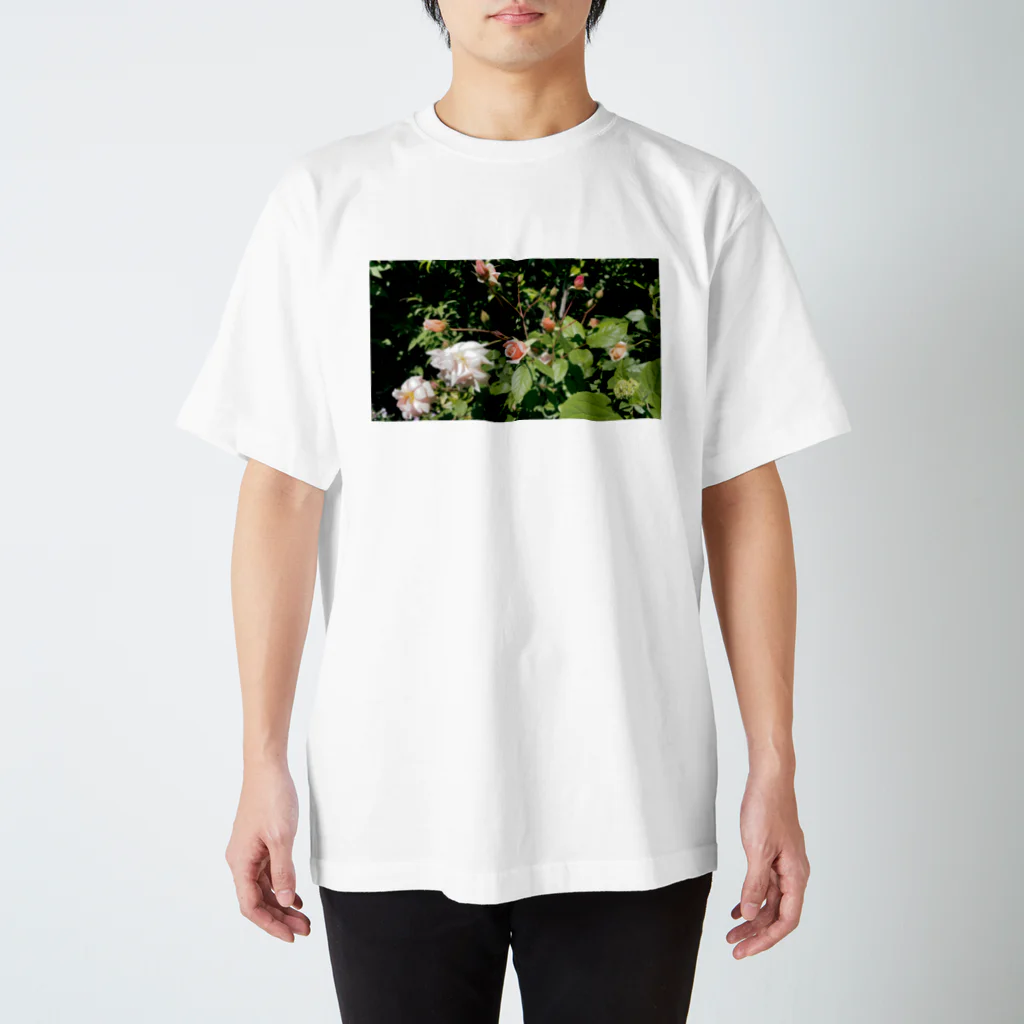 Moet_photoのRose#1 スタンダードTシャツ