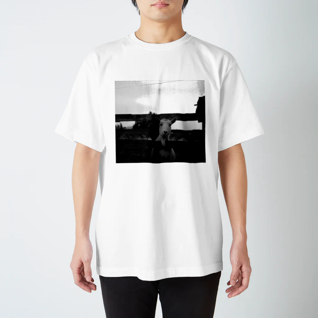 ねっころのさもありなんやぎ Regular Fit T-Shirt