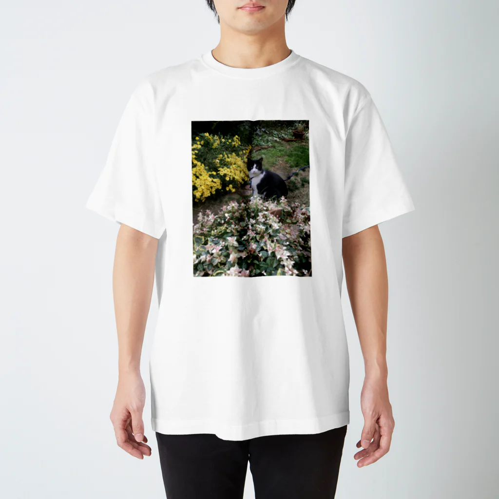 ふかみななこのうちの猫 Regular Fit T-Shirt