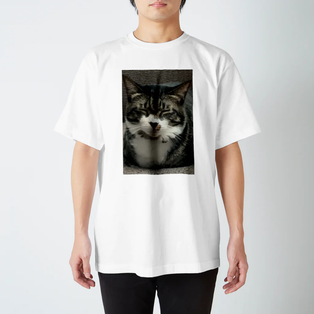 STOKEDのエイトくん😼 スタンダードTシャツ