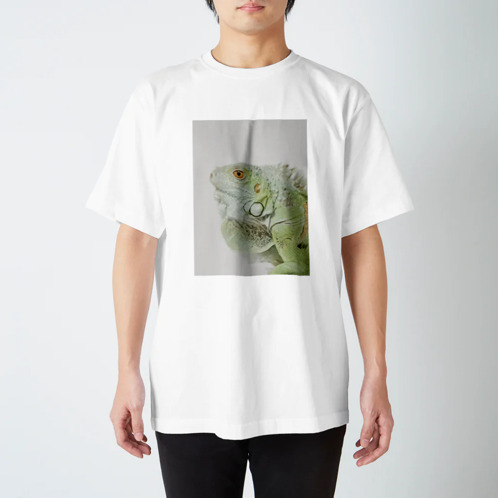 ほぺまる家のグリーンイグアナのほぺまるくん Regular Fit T-Shirt