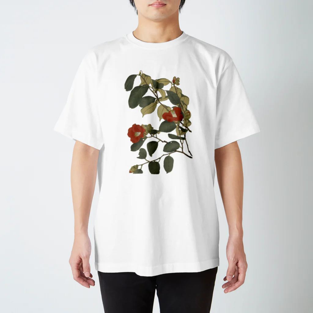 sachiko_goodsのつばき Regular Fit T-Shirt