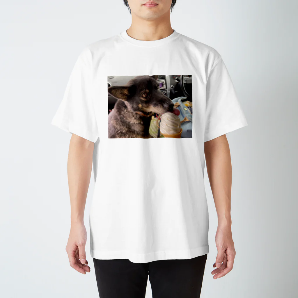 oculophiliaahのわお Regular Fit T-Shirt