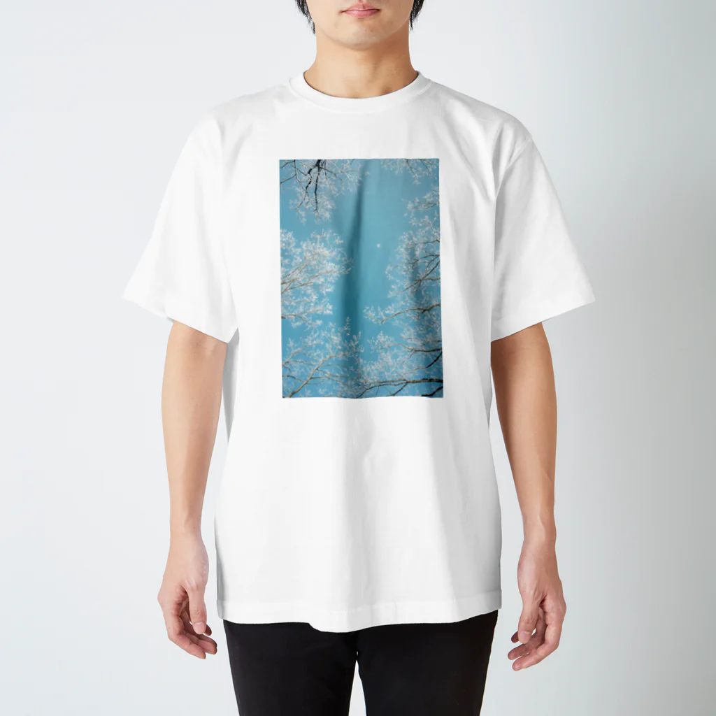 art6dのSnow Regular Fit T-Shirt