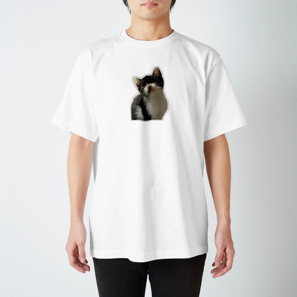 nekousagi*∩..∩の保護猫Pちゃん【ロゴなし】 スタンダードTシャツ