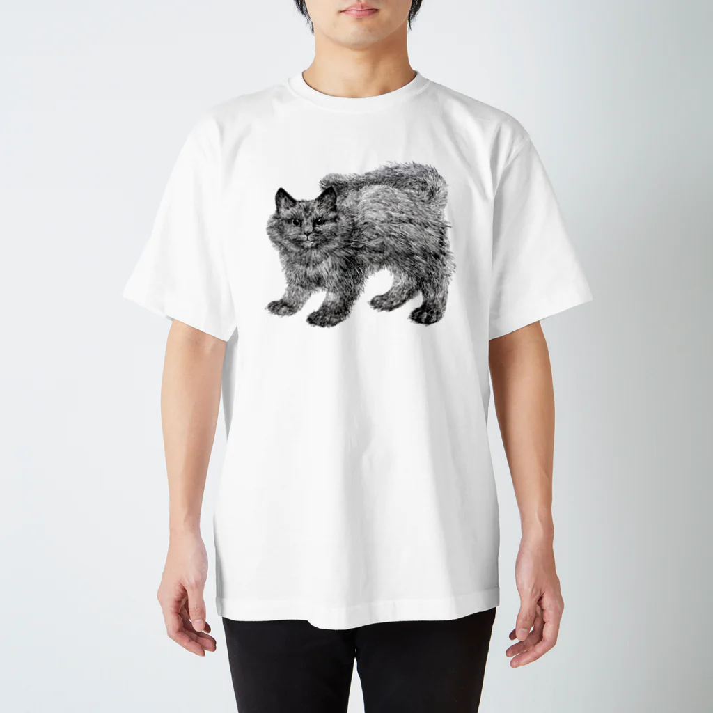 segasworksのふわふわの仔猫 スタンダードTシャツ