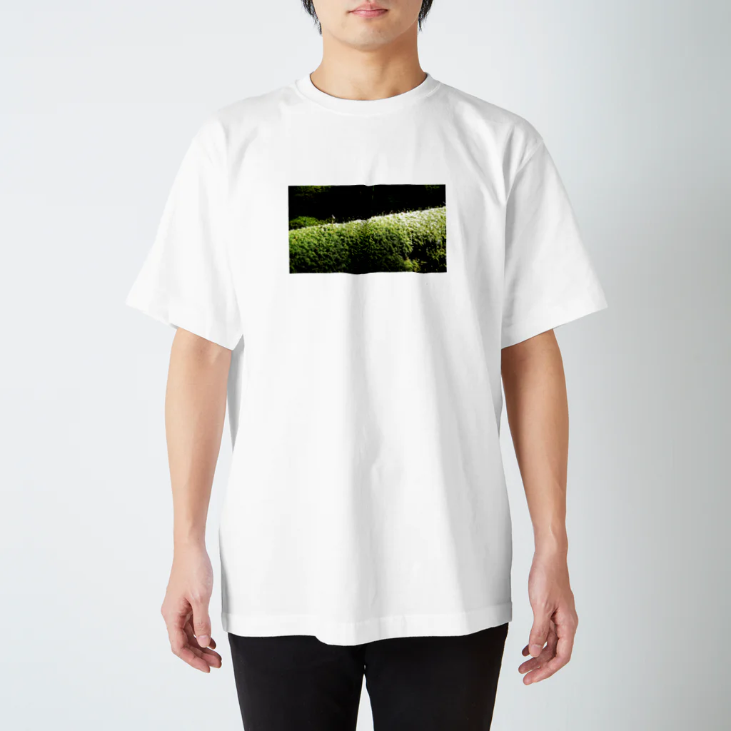 CHERRYの苔苔くん Regular Fit T-Shirt