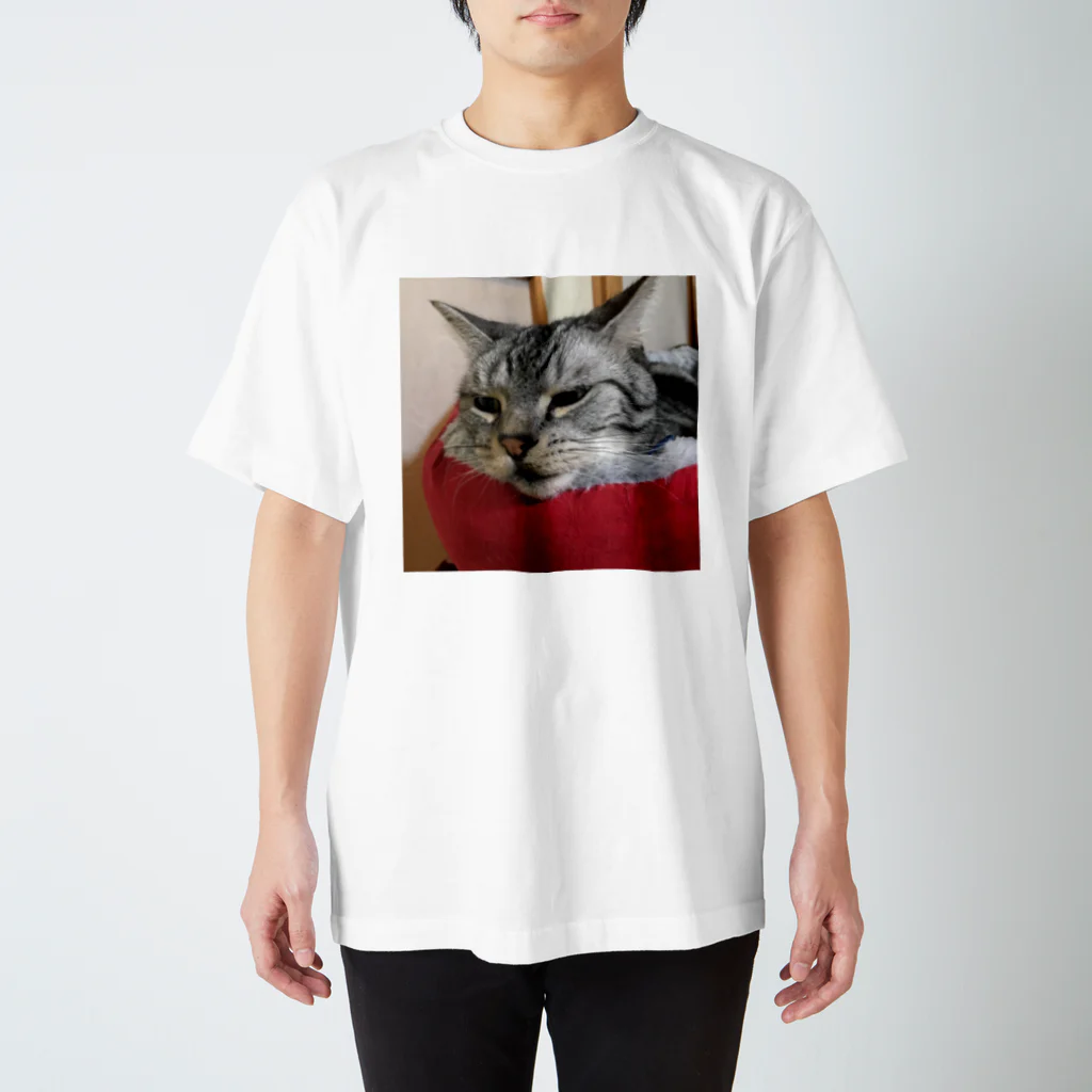 ねこノートのあごのせ寝 スタンダードTシャツ