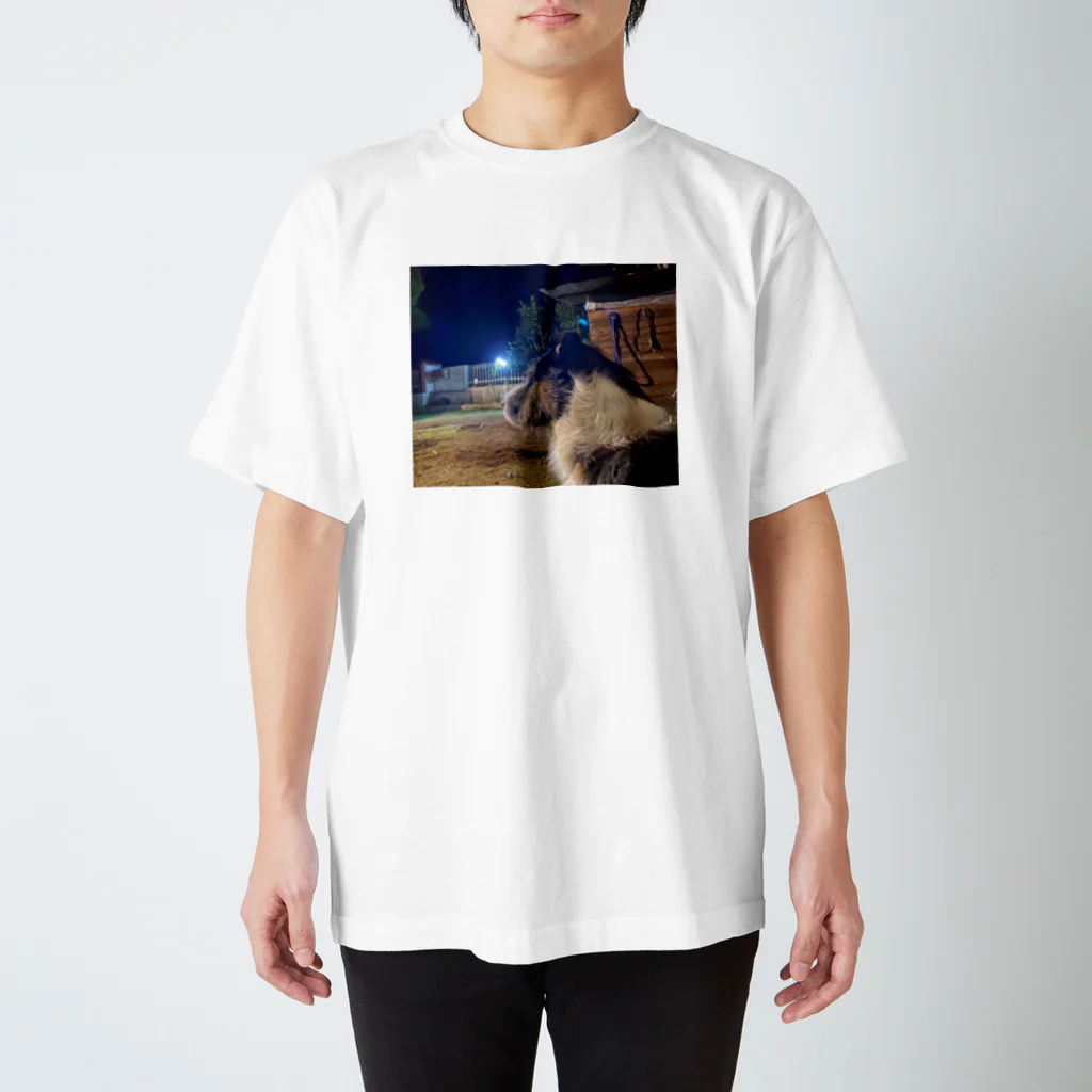 _masa_masa_のスタッフォードシャーテリア スタンダードTシャツ