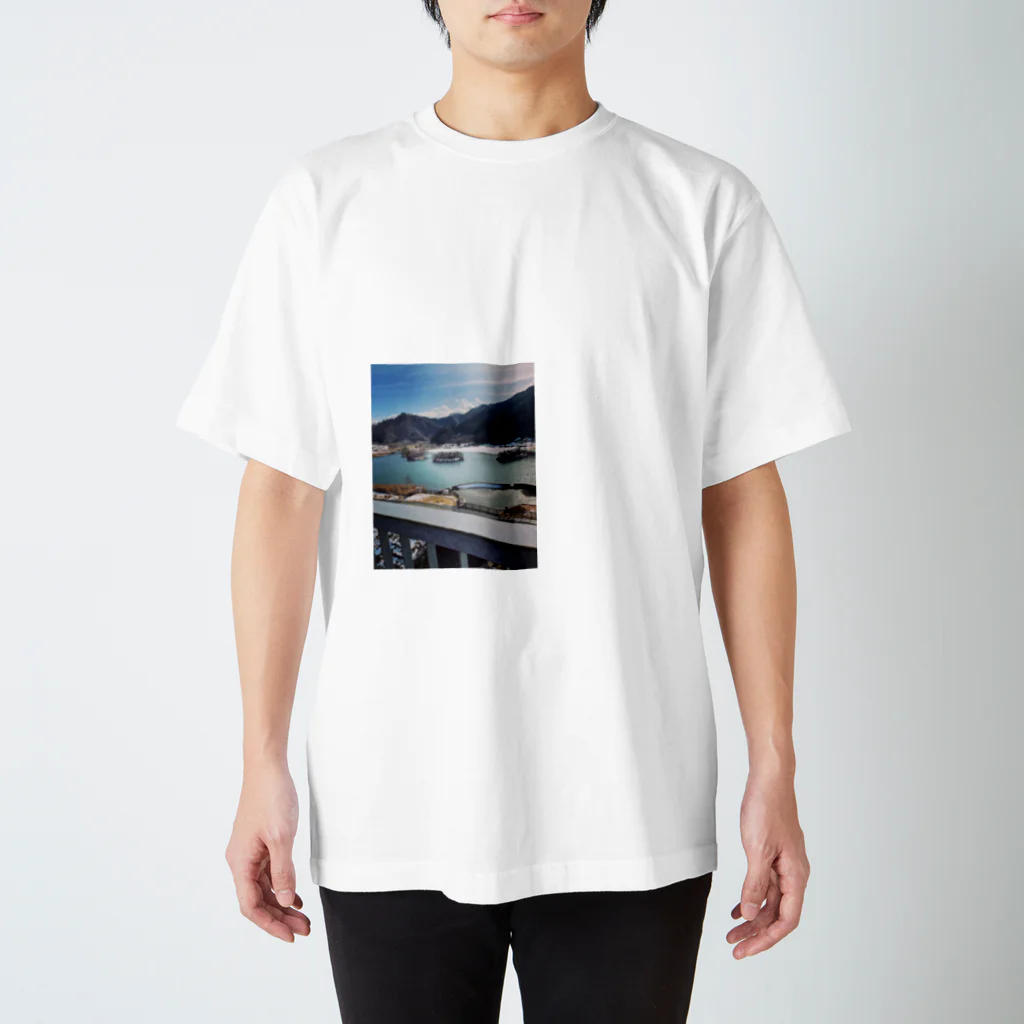 ネコカモプラネットの春の湖 スタンダードTシャツ