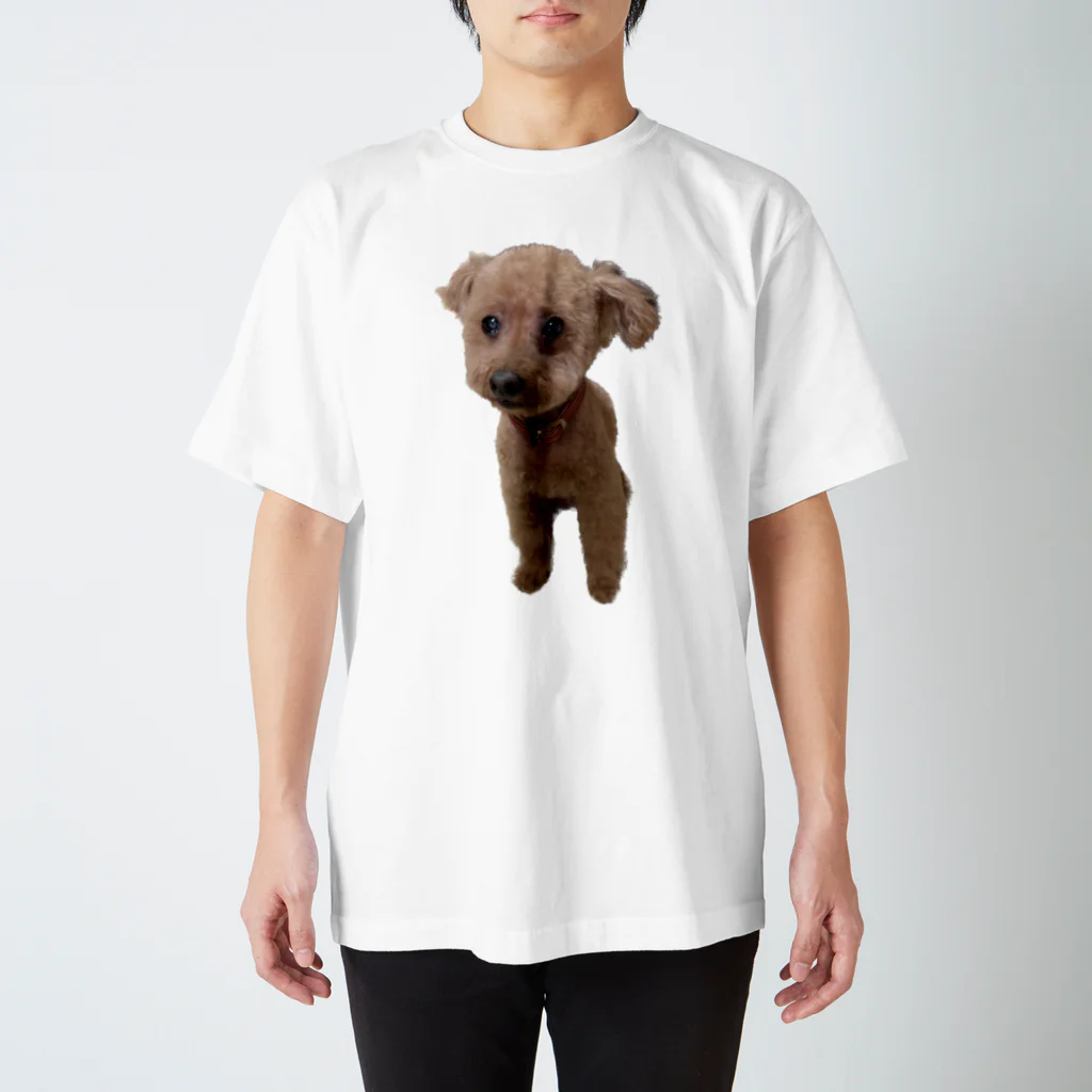 ぷ〜の家のぴかぴかの犬 Regular Fit T-Shirt