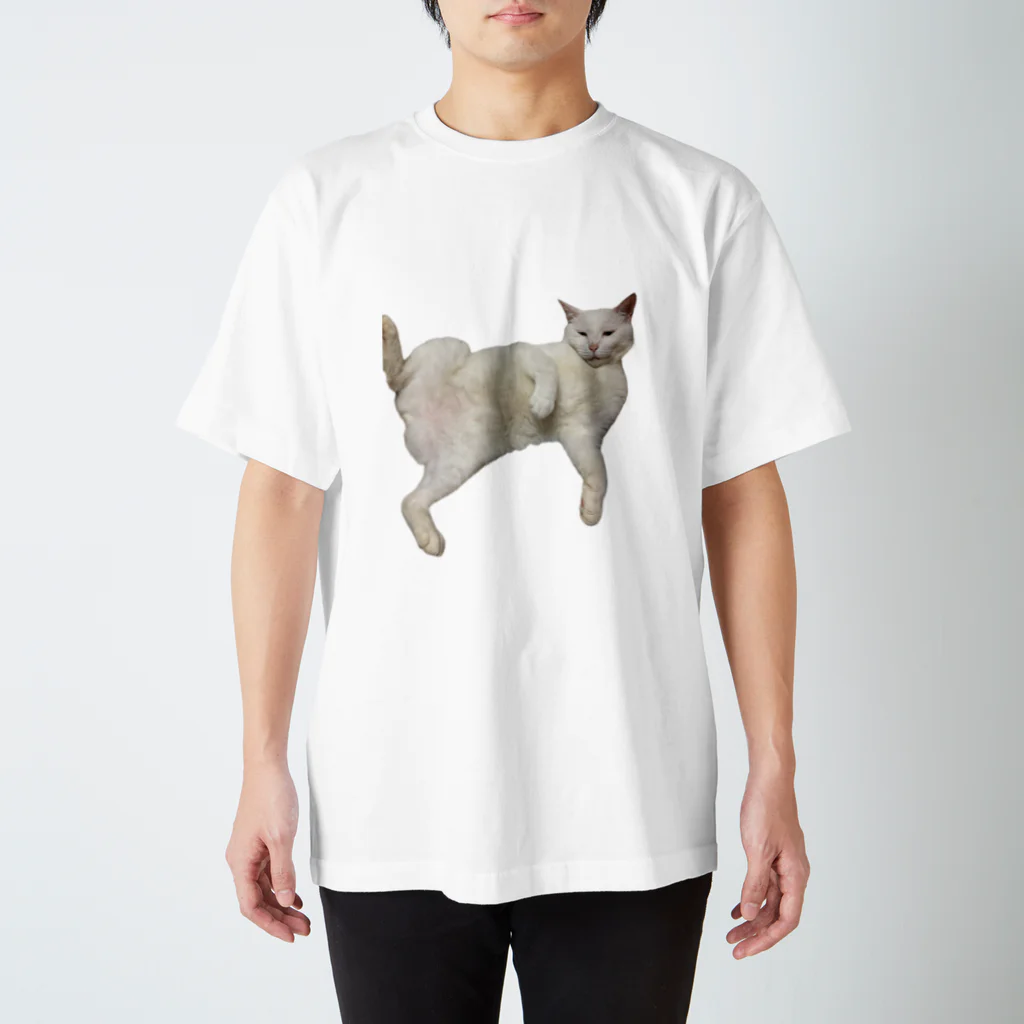 竹城牧場🪼さかかのうちの猫 スタンダードTシャツ