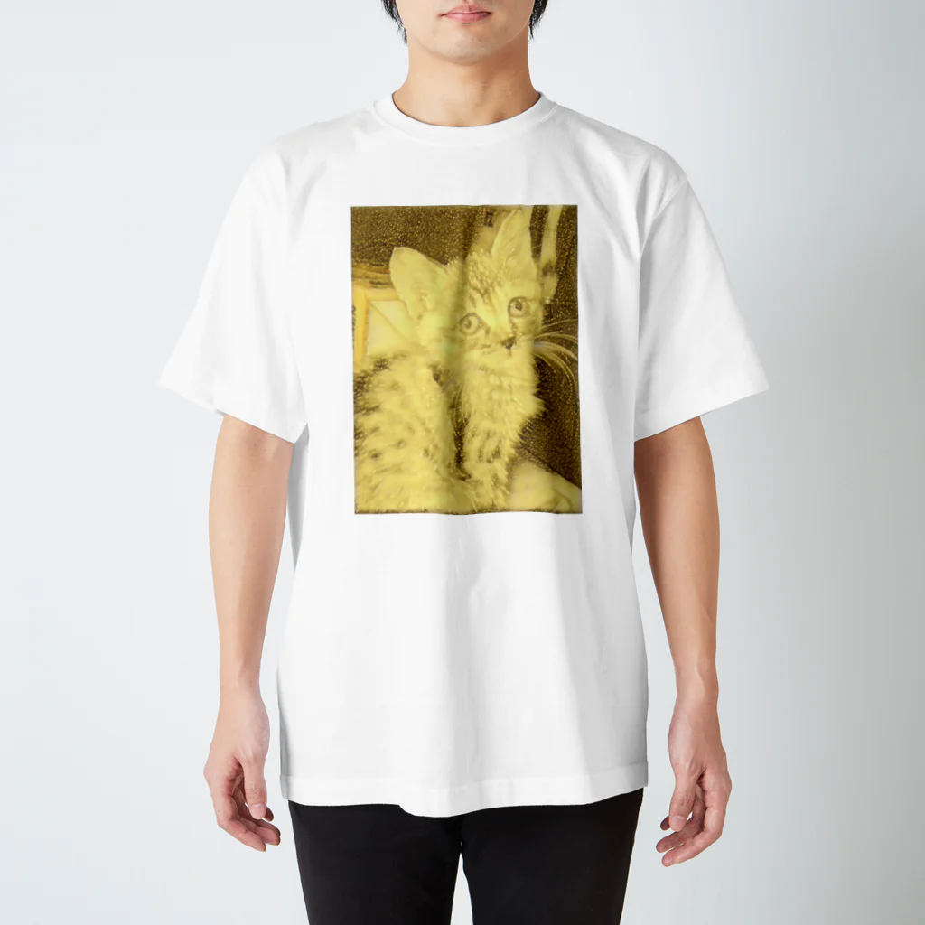 金色猫のキラキラネコ Regular Fit T-Shirt