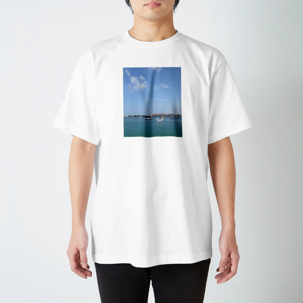 arcovero*designのsea of Basque スタンダードTシャツ