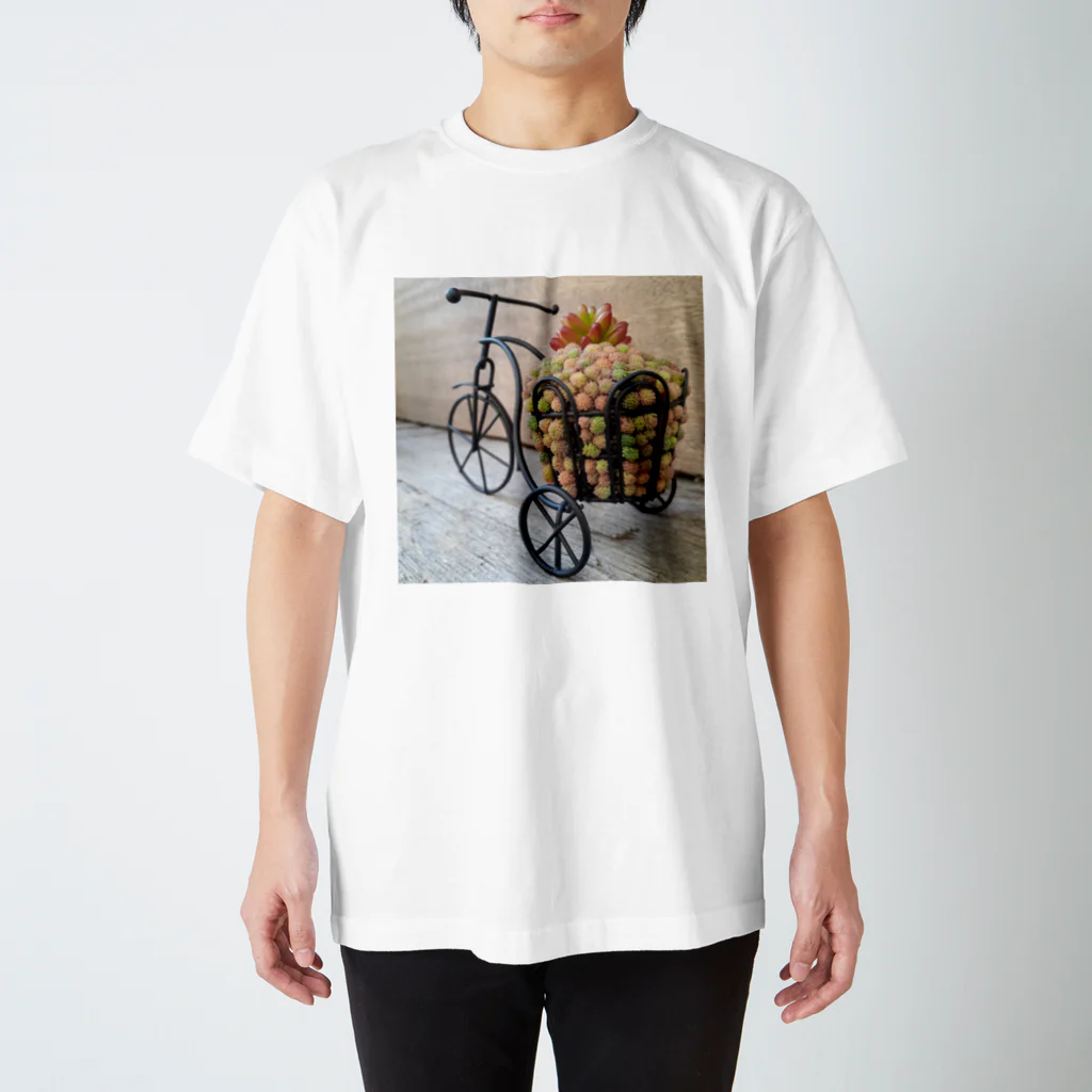 Succulent artist amt の自転車寄せ植え Regular Fit T-Shirt