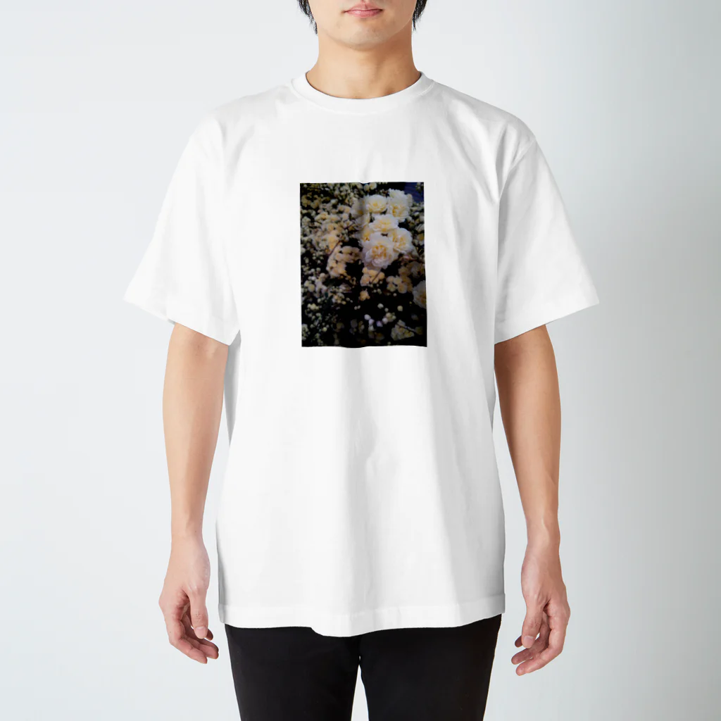 heboniaのモッコウバラ Regular Fit T-Shirt