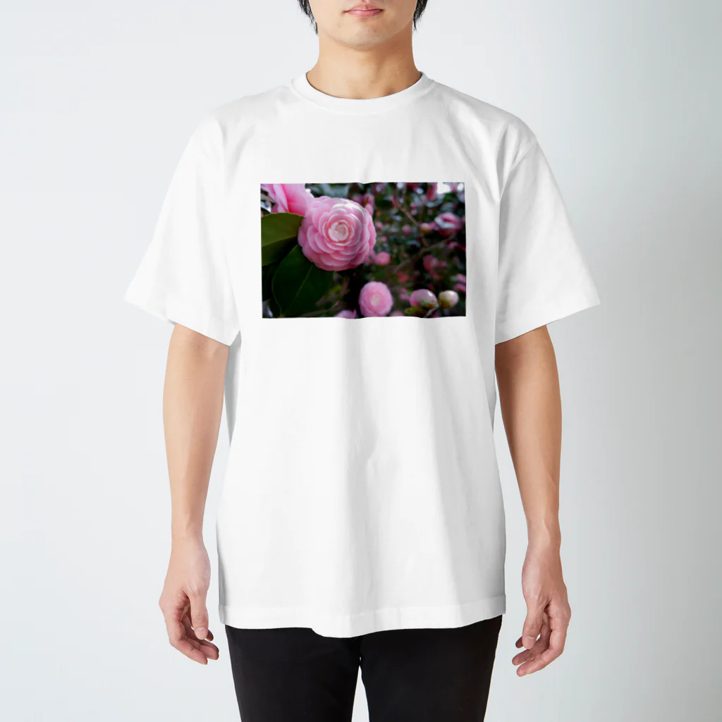 dandelionのピンク椿 スタンダードTシャツ