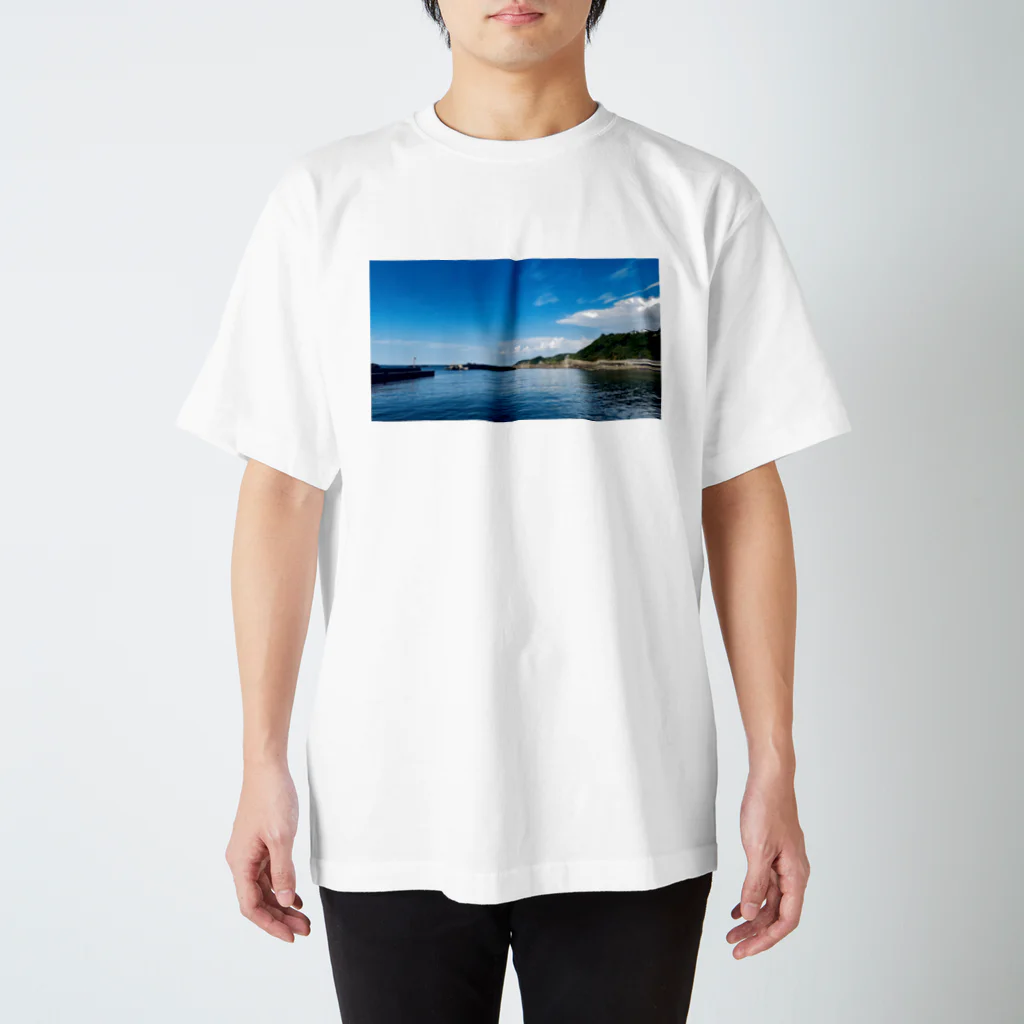 dandelionのどこかの海 Regular Fit T-Shirt