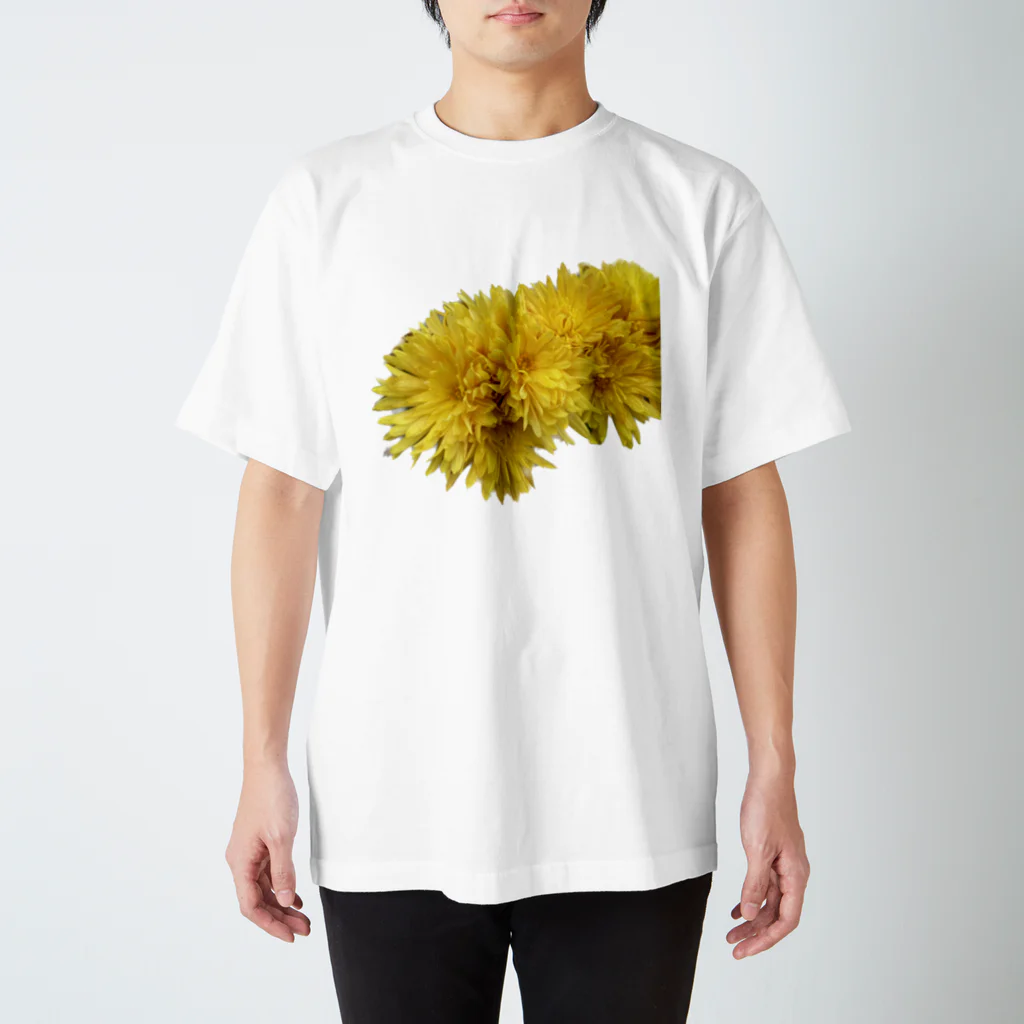 dandelionの黄色 Regular Fit T-Shirt