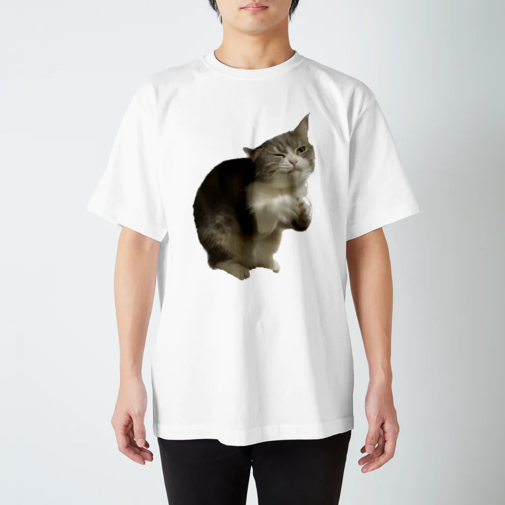 むっちり猫のむっちり丸のちょうだい！ミロ姫！ Regular Fit T-Shirt