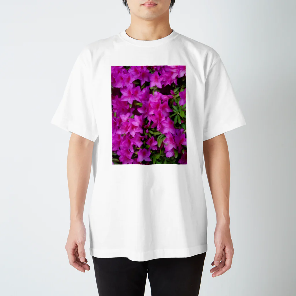 中川遥のピンクツツジ エレガンス コレクション Regular Fit T-Shirt