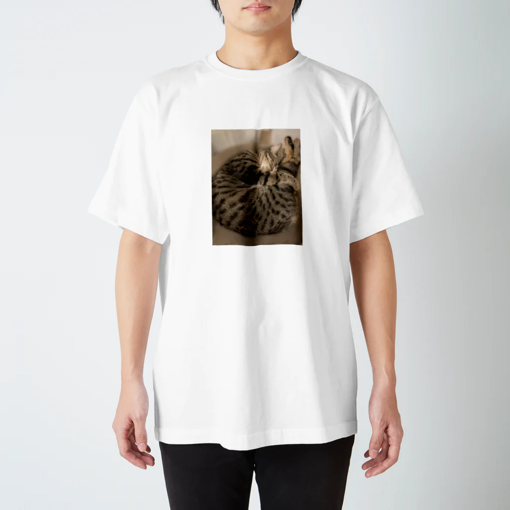 SOMARI_SATOのアンモニャイト Regular Fit T-Shirt