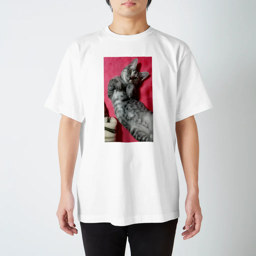 Grayの可愛げがあった頃の猫です｡ スタンダードTシャツ