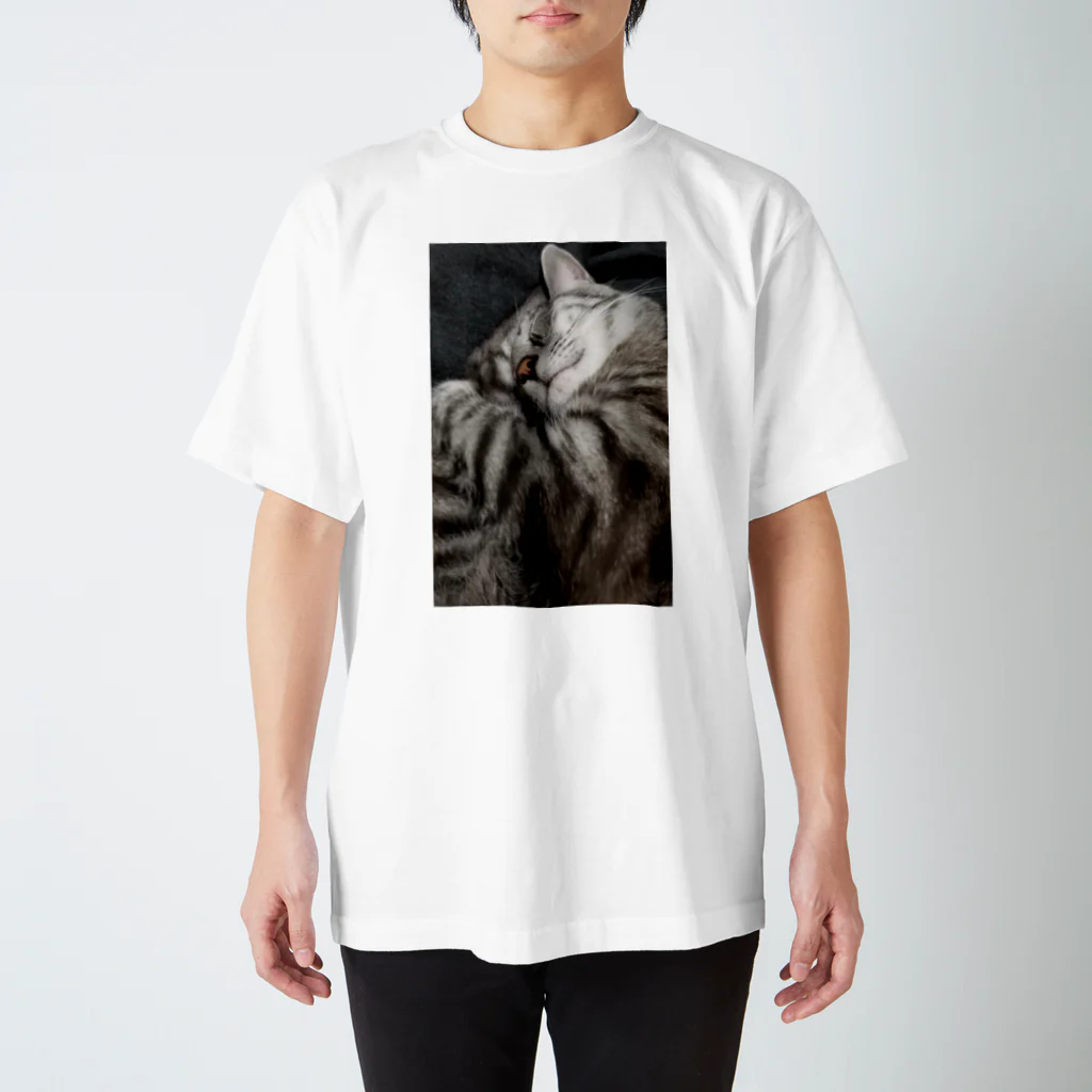 Grayのふてぶてしい猫です｡ スタンダードTシャツ