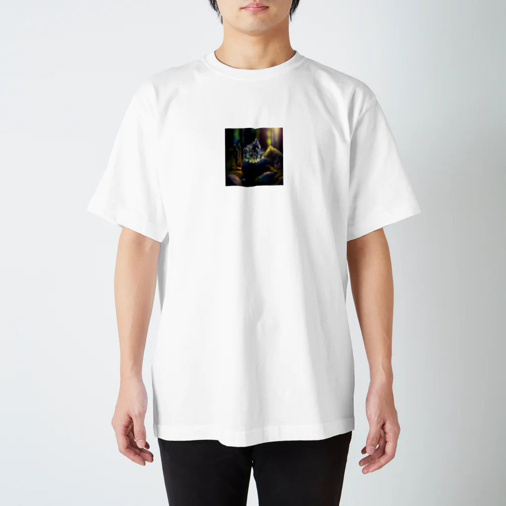 blue-asterの神秘的なクリスタル Regular Fit T-Shirt