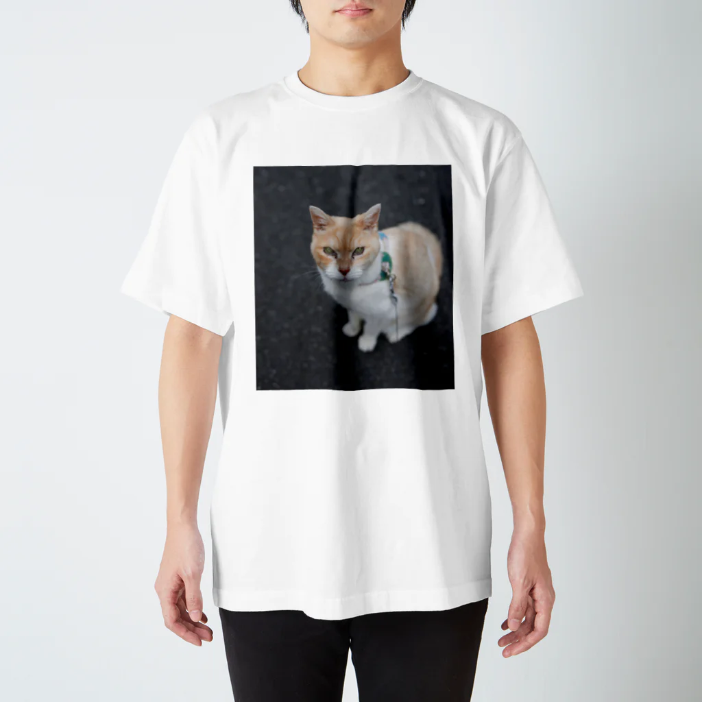 akikomaieのふくちゃんうるる目 スタンダードTシャツ